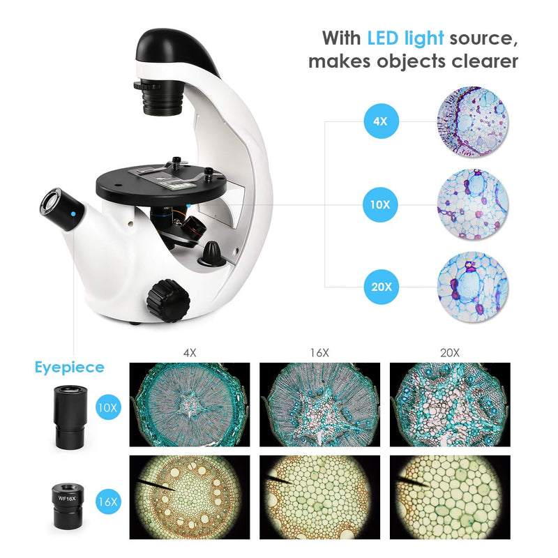Microscopio Inverso per l'Osservazione di Cellule di Coltura Cellulare SCONTO
